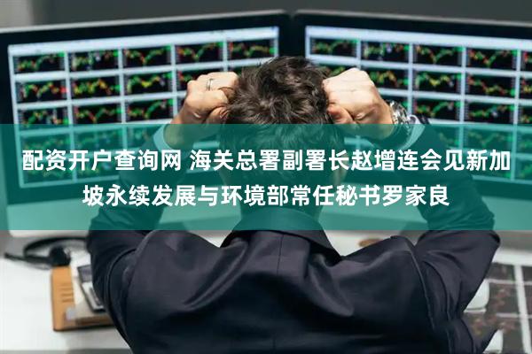 配资开户查询网 海关总署副署长赵增连会见新加坡永续发展与环境部常任秘书罗家良