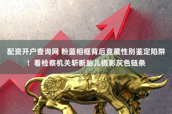 配资开户查询网 粉蓝相框背后竟藏性别鉴定陷阱！看检察机关斩断胎儿摄影灰色链条