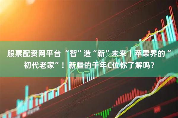 股票配资网平台 “智”造“新”未来丨苹果界的“初代老家”！新疆的千年C位你了解吗？