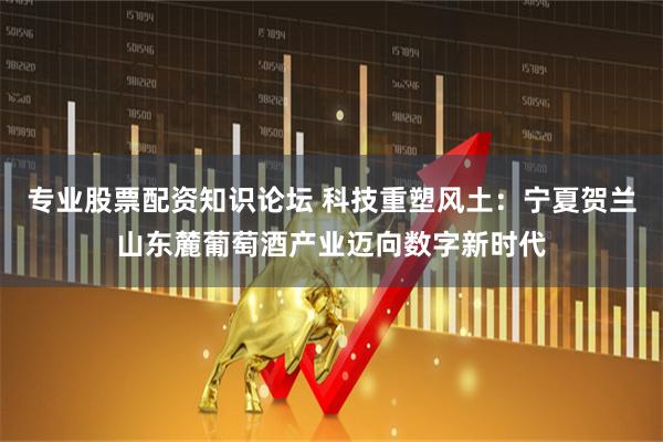 专业股票配资知识论坛 科技重塑风土：宁夏贺兰山东麓葡萄酒产业迈向数字新时代
