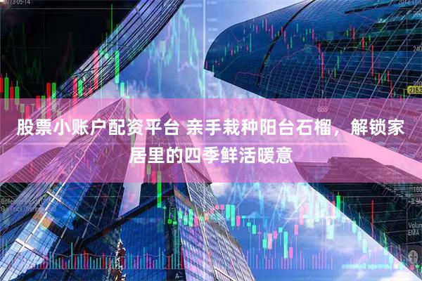 股票小账户配资平台 亲手栽种阳台石榴，解锁家居里的四季鲜活暖意