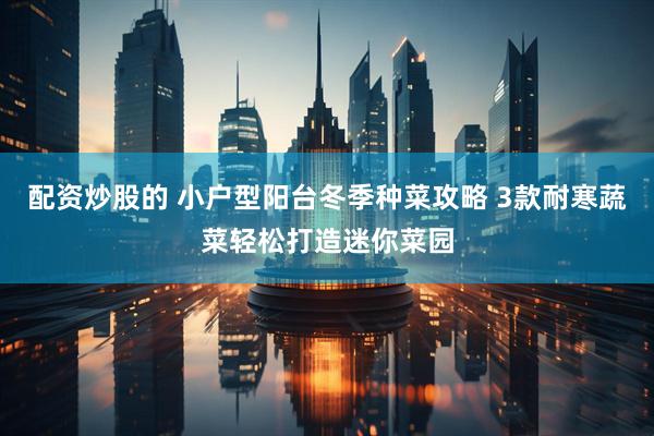 配资炒股的 小户型阳台冬季种菜攻略 3款耐寒蔬菜轻松打造迷你菜园