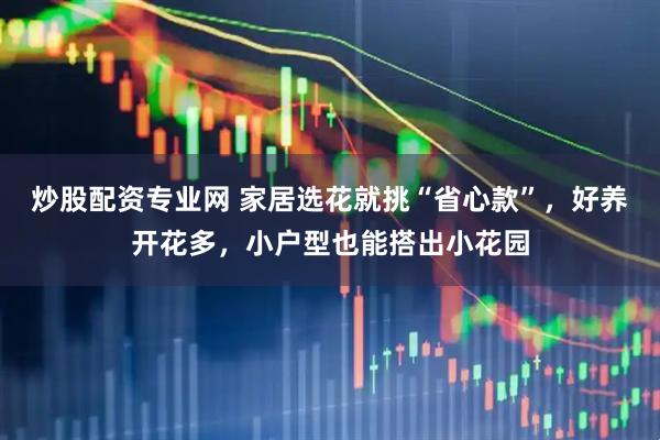 炒股配资专业网 家居选花就挑“省心款”,好养开花多,小户型也能搭出小花园